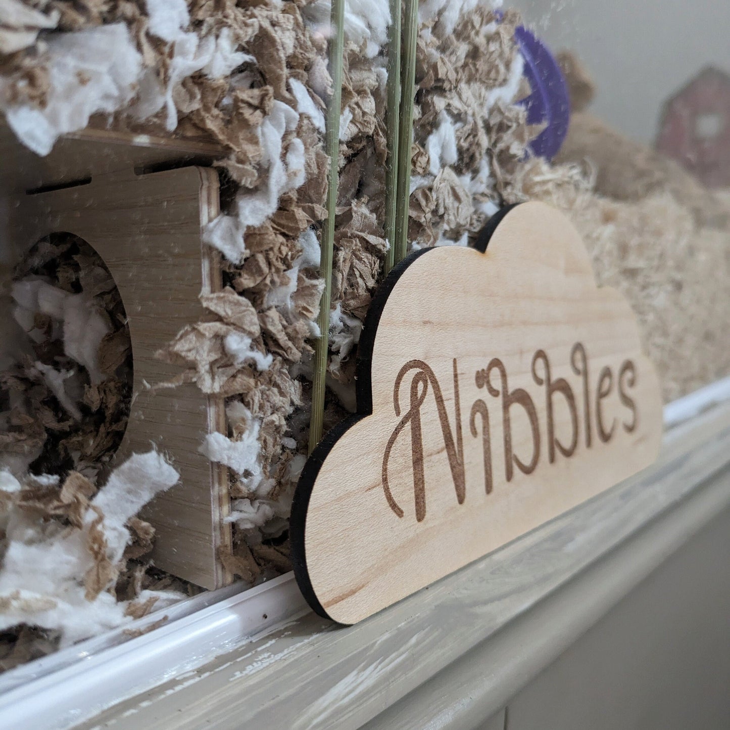 Personalised Cloud Cage Sign