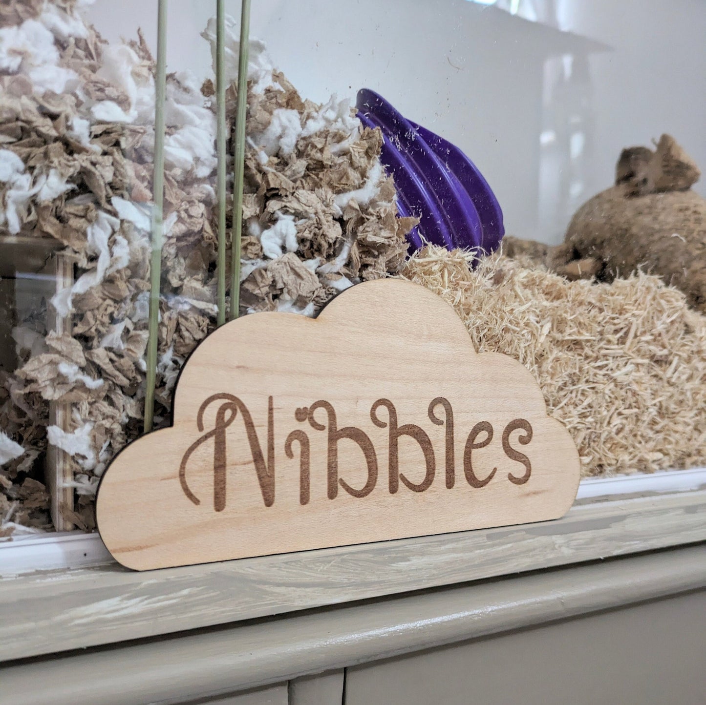 Personalised Cloud Cage Sign