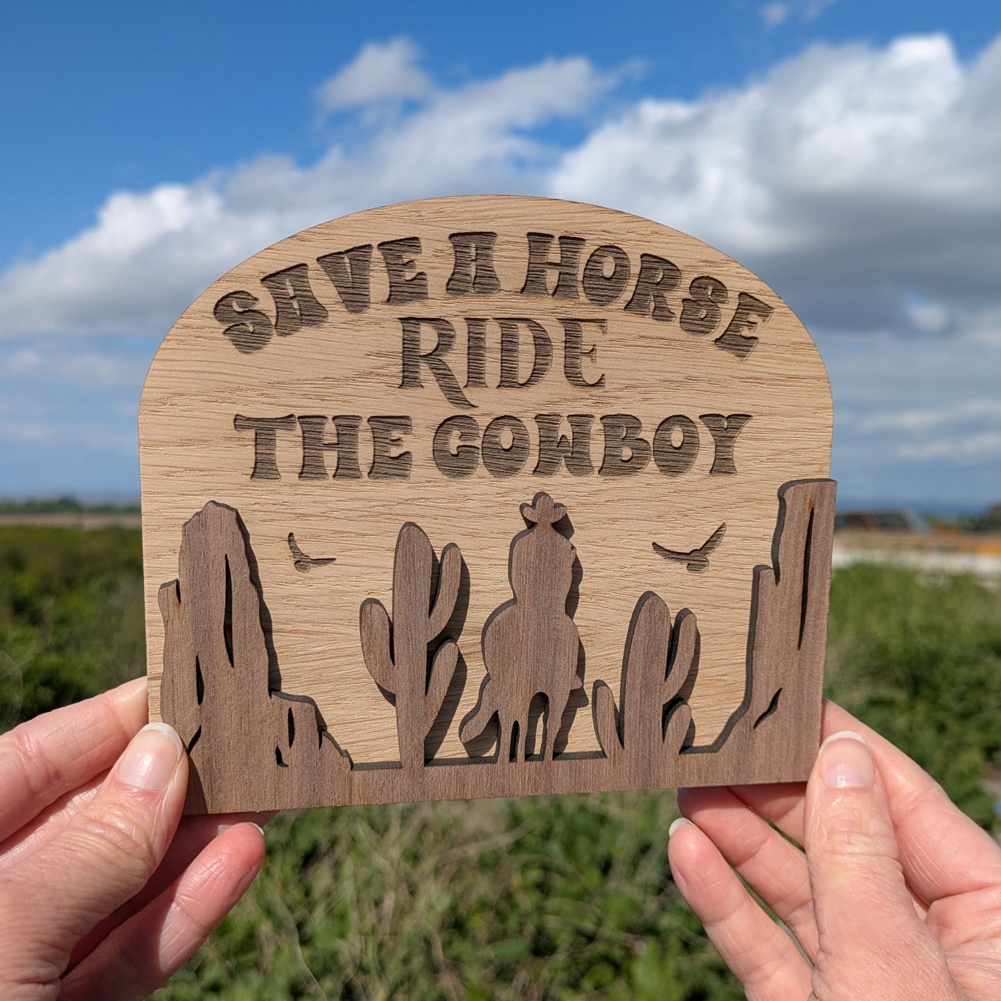 Save a Horse Ride THE Cowboy