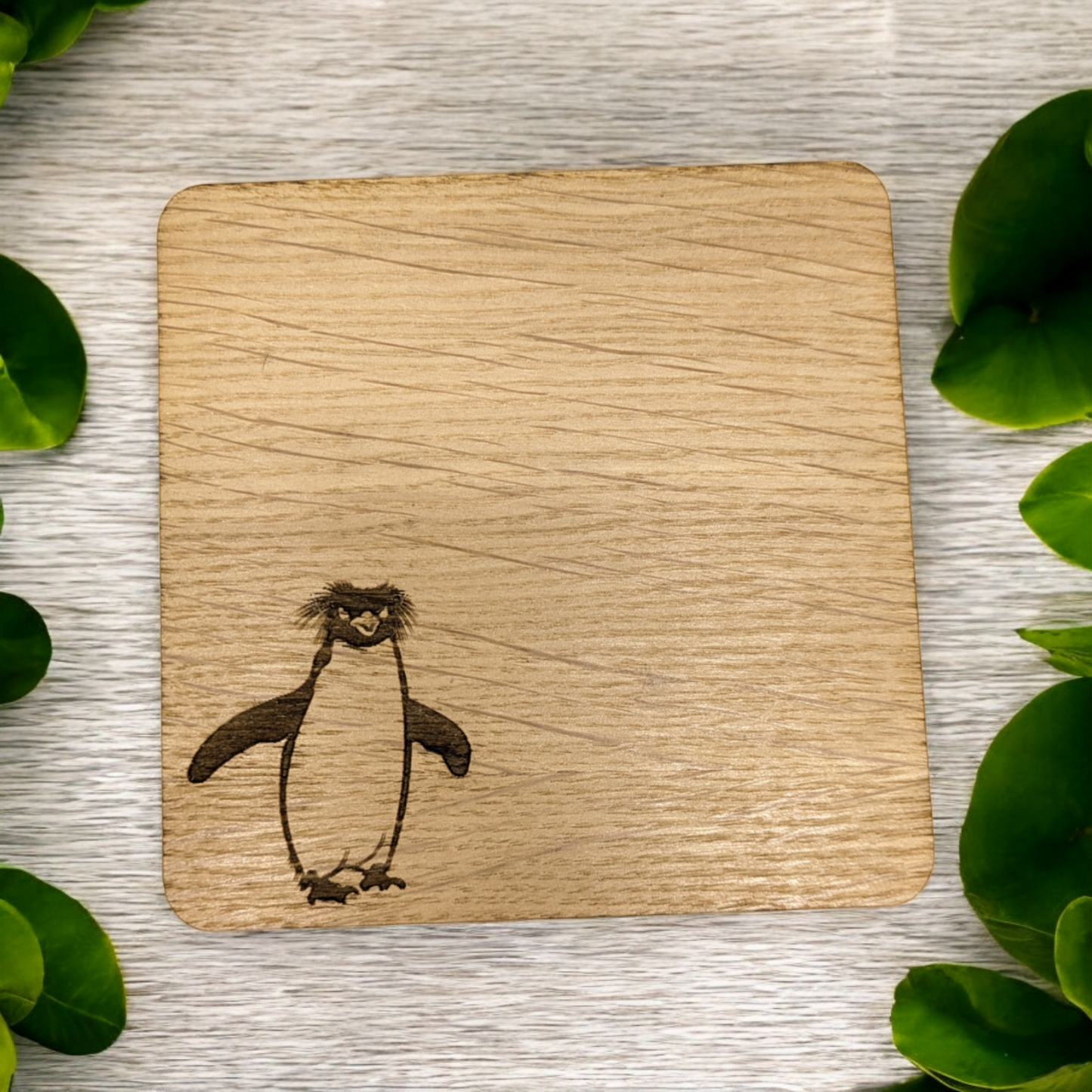 Penguin Coaster Set