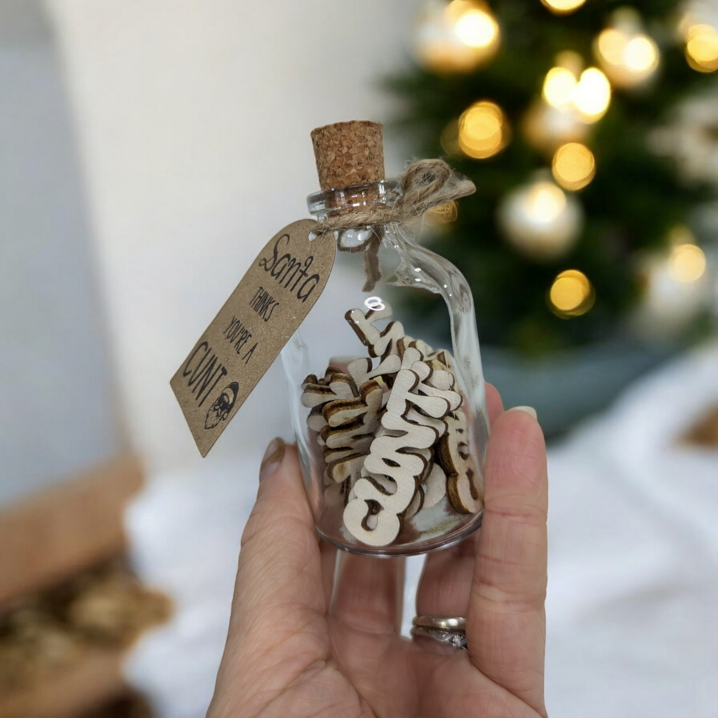 Novelty Santa Cunt Jar