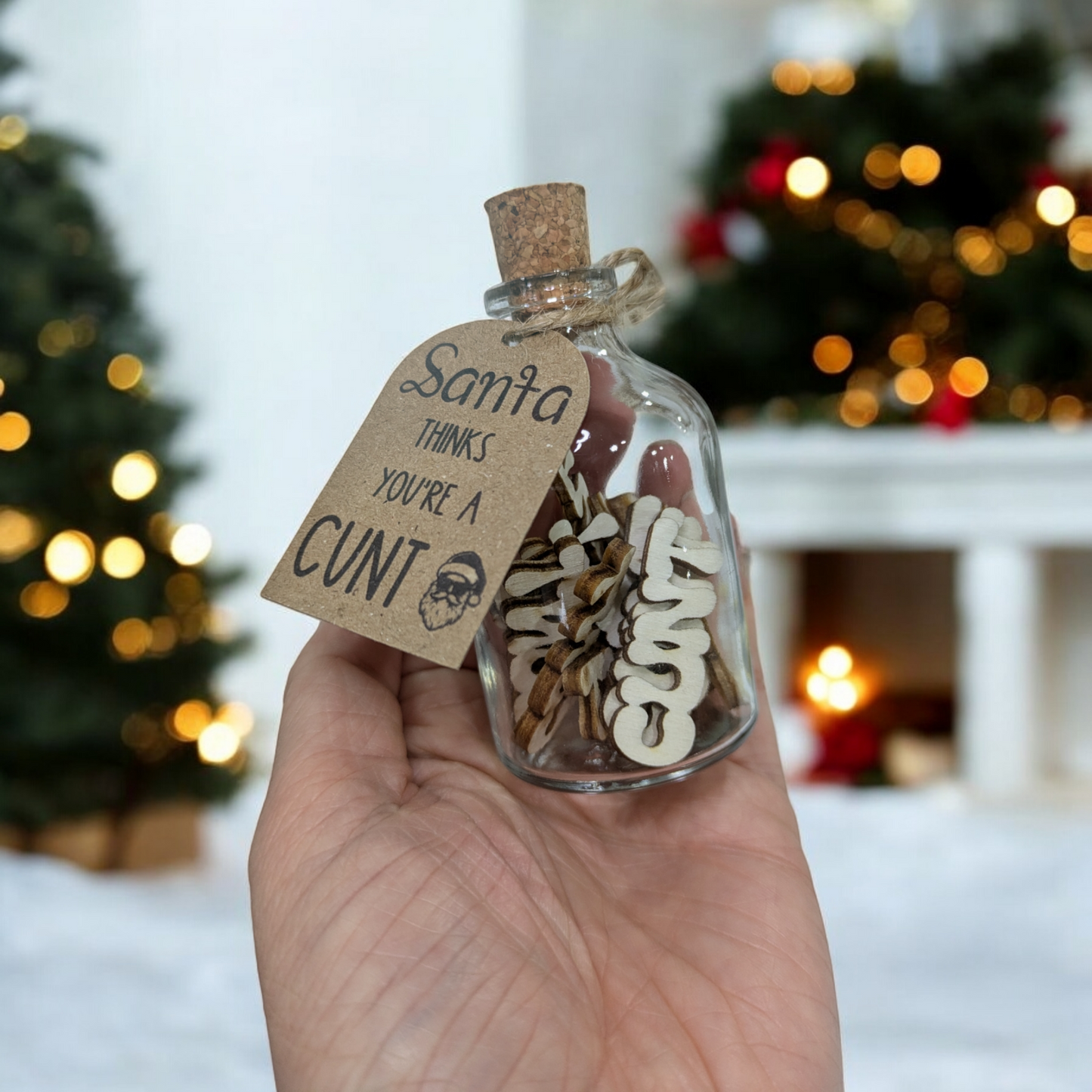 Novelty Santa Cunt Jar