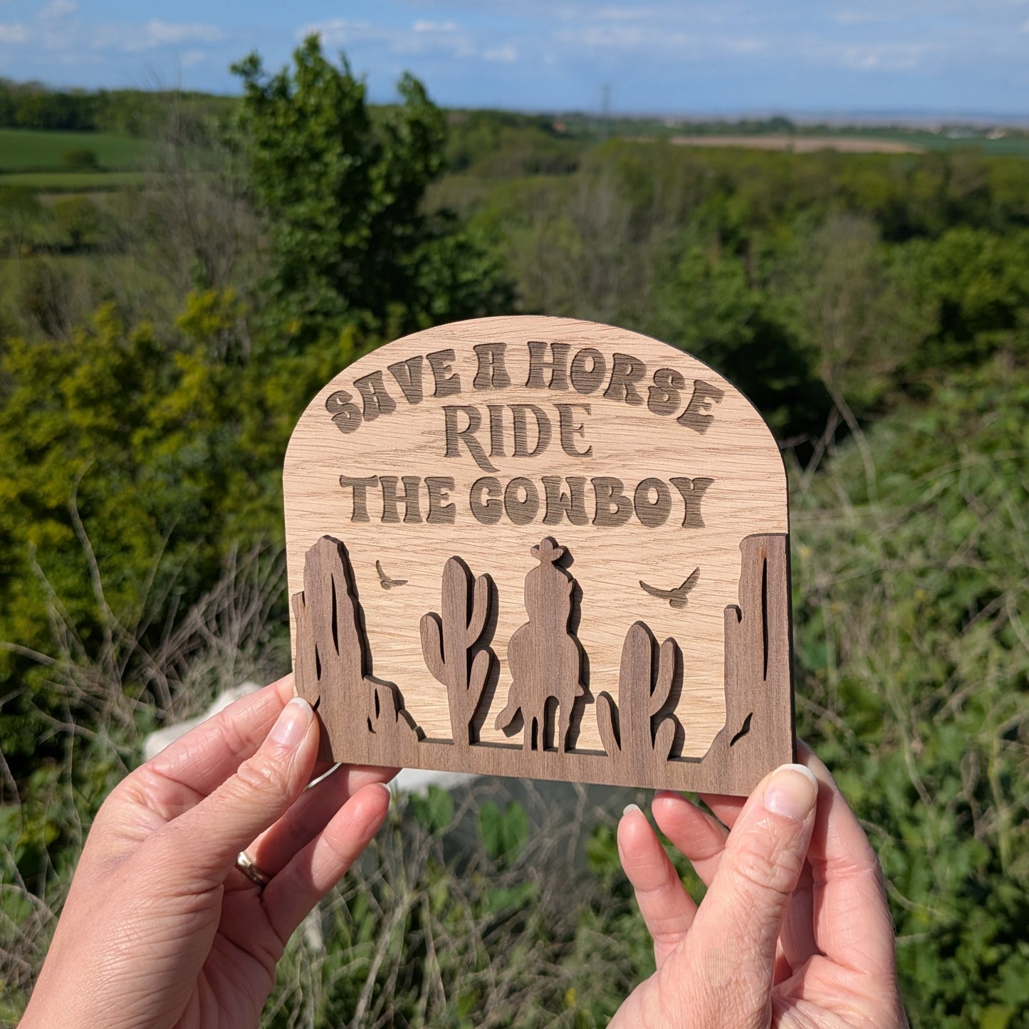 Save a Horse Ride THE Cowboy
