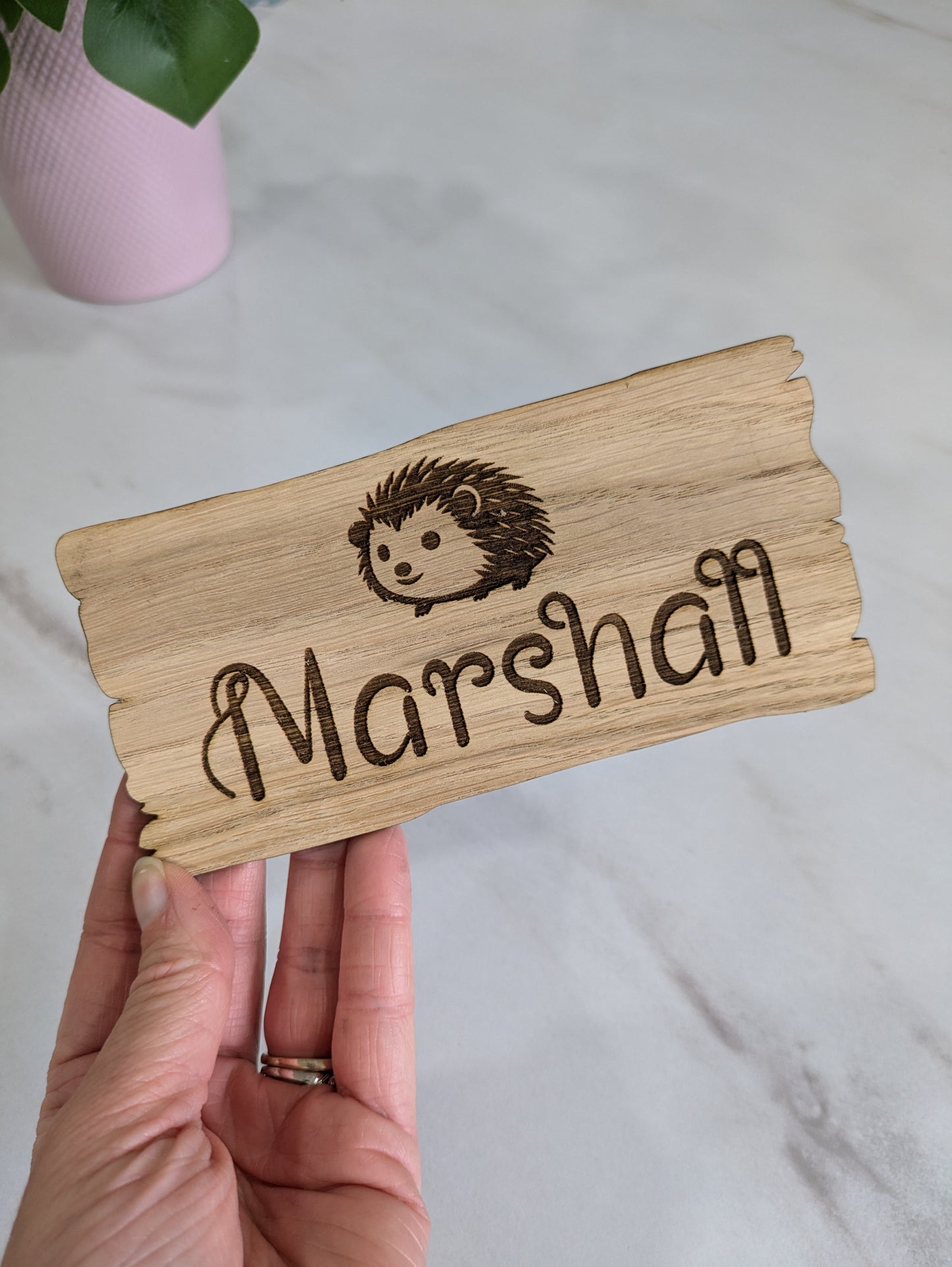 Personalised Hedgehog Cage Sign